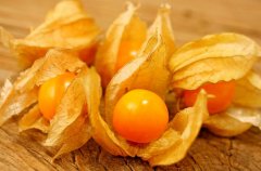 農(nóng)業(yè)自動氣象站助力菇娘規(guī)?；N植